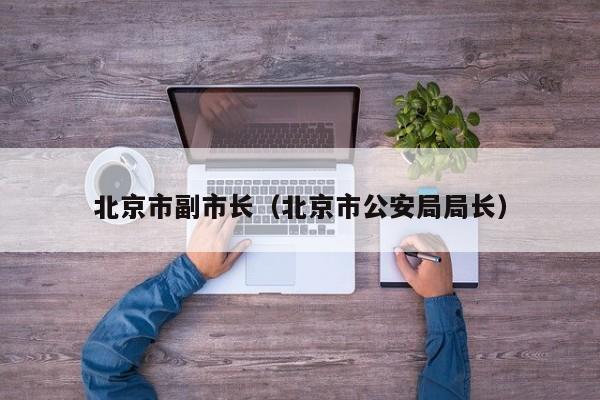北京市副市长（北京市公安局局长）