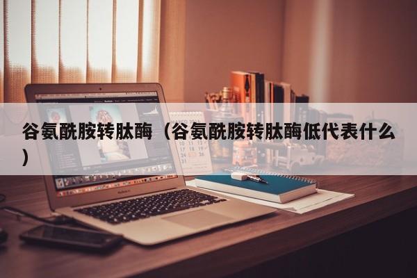 谷氨酰胺转肽酶（谷氨酰胺转肽酶低代表什么）