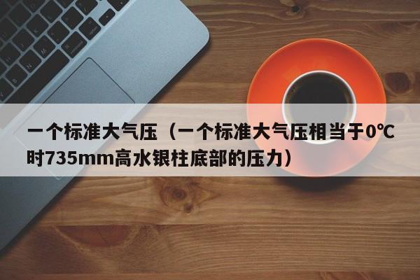 一个标准大气压（一个标准大气压相当于0℃时735mm高水银柱底部的压力）