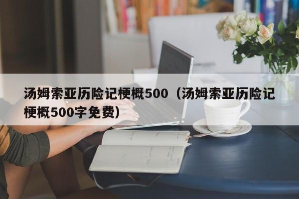 汤姆索亚历险记梗概500（汤姆索亚历险记梗概500字免费）