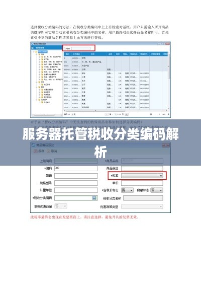 服务器托管税收分类编码解析