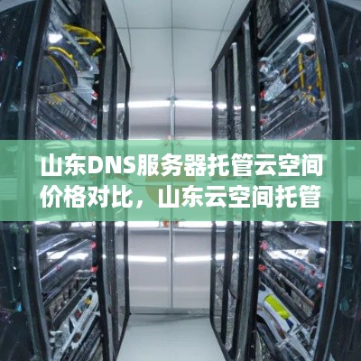 山东DNS服务器托管云空间价格对比，山东云空间托管服务推荐