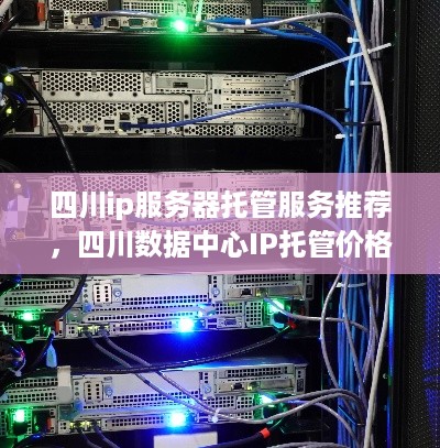 四川ip服务器托管服务推荐，四川数据中心IP托管价格