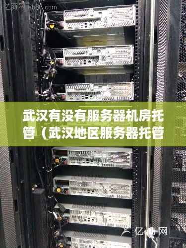 武汉有没有服务器机房托管（武汉地区服务器托管服务查询）
