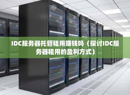 IDC服务器托管租用赚钱吗（探讨IDC服务器租用的盈利方式）