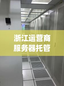 浙江运营商服务器托管服务（提供专业服务器托管方案）