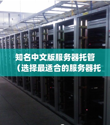 知名中文版服务器托管（选择最适合的服务器托管服务）