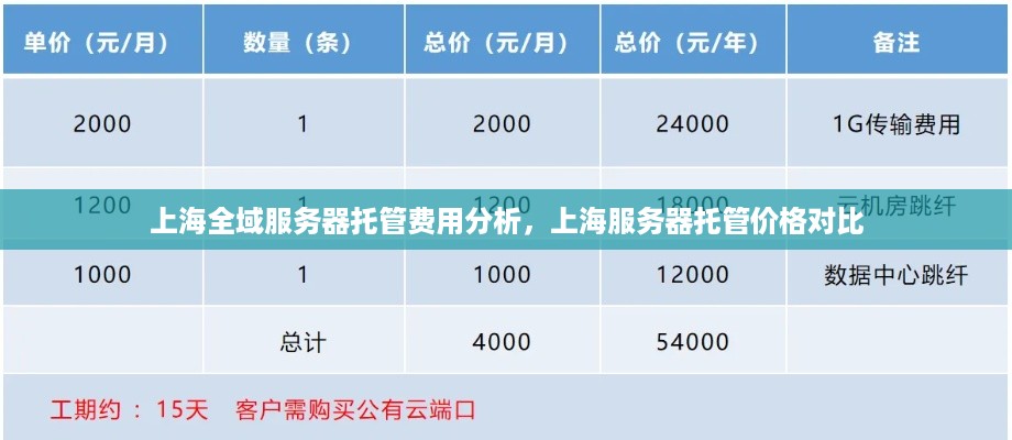 上海全域服务器托管费用分析，上海服务器托管价格对比