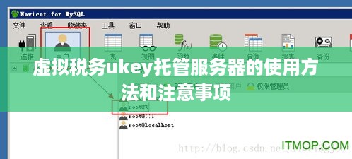 虚拟税务ukey托管服务器的使用方法和注意事项