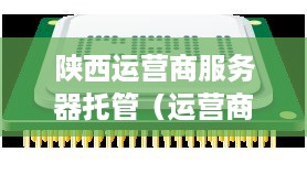 陕西运营商服务器托管（运营商机房托管）