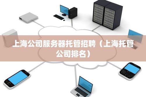 上海公司服务器托管招聘（上海托管公司排名）