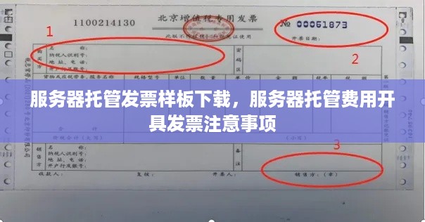 服务器托管发票样板下载，服务器托管费用开具发票注意事项