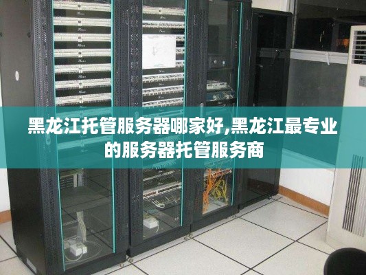 黑龙江托管服务器哪家好,黑龙江最专业的服务器托管服务商