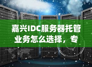 嘉兴IDC服务器托管业务怎么选择，专业IDC服务器托管服务商推荐