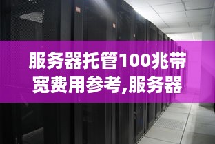 服务器托管100兆带宽费用参考,服务器托管100兆带宽价格分析