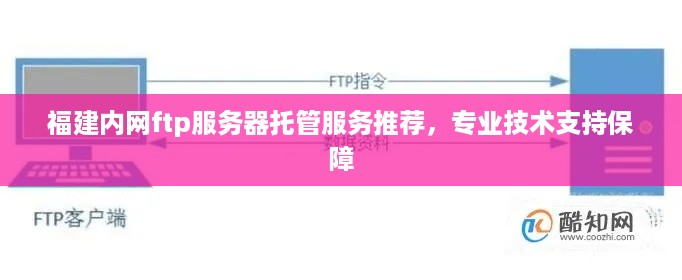 福建内网ftp服务器托管服务推荐，专业技术支持保障