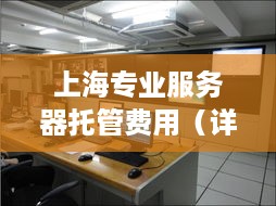 上海专业服务器托管费用（详细解读上海服务器托管服务价格）