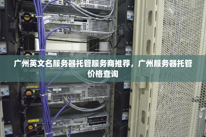 广州英文名服务器托管服务商推荐，广州服务器托管价格查询