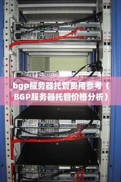 bgp服务器托管费用参考（BGP服务器托管价格分析）