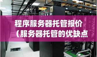 程序服务器托管报价（服务器托管的优缺点）