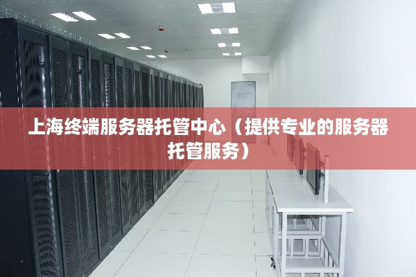 上海终端服务器托管中心（提供专业的服务器托管服务）