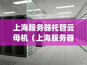 上海服务器托管云母机（上海服务器托管服务详解）