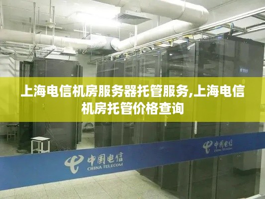 上海电信机房服务器托管服务,上海电信机房托管价格查询