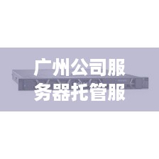 广州公司服务器托管服务哪家好，广州服务器托管公司推荐