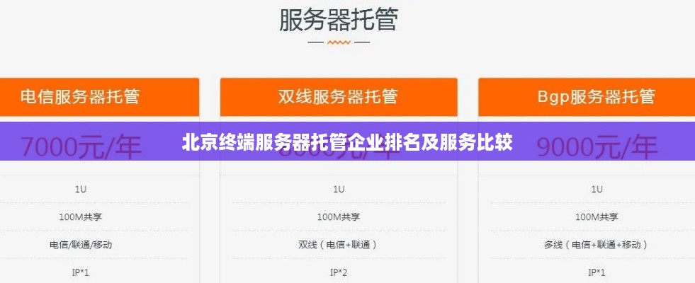 北京终端服务器托管企业排名及服务比较