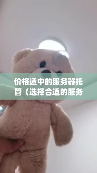 价格适中的服务器托管（选择合适的服务器托管方案）