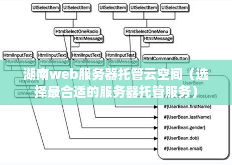 湖南web服务器托管云空间（选择最合适的服务器托管服务）