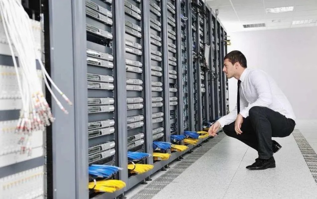 网络服务器托管费用多少,网络服务器托管服务选择指南