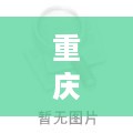 重庆服务器托管厂家排行榜,重庆服务器托管服务费用对比