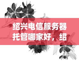 绍兴电信服务器托管哪家好，绍兴电信服务器托管费用参考