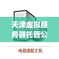 天津虚拟服务器托管公司（选择最适合的虚拟服务器托管服务）