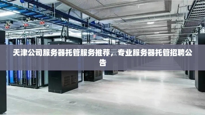 天津公司服务器托管服务推荐，专业服务器托管招聘公告