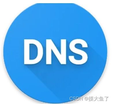 海口dns服务器托管（dns托管是什么意思）