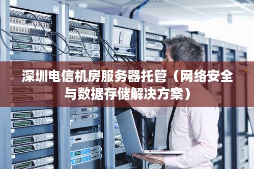 深圳电信机房服务器托管（网络安全与数据存储解决方案）