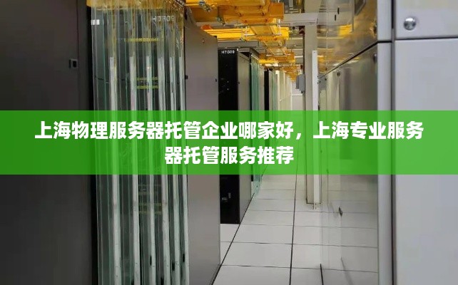 上海物理服务器托管企业哪家好，上海专业服务器托管服务推荐