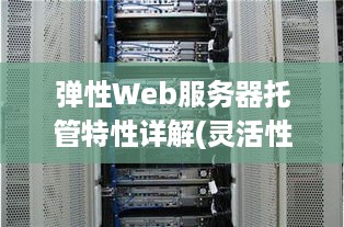弹性Web服务器托管特性详解(灵活性与稳定性兼具)