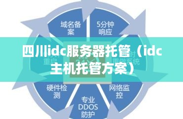 四川idc服务器托管（idc主机托管方案）