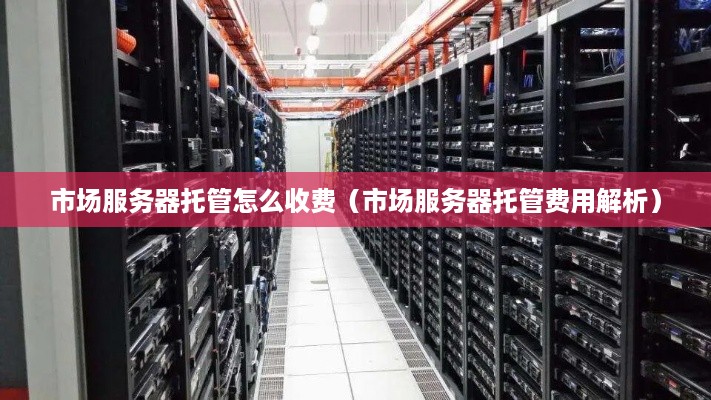 市场服务器托管怎么收费（市场服务器托管费用解析）