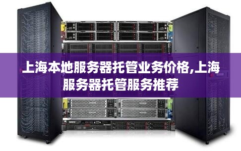 上海本地服务器托管业务价格,上海服务器托管服务推荐