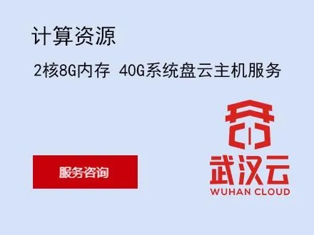 武汉云计算服务器托管（武汉云计算公司排名）
