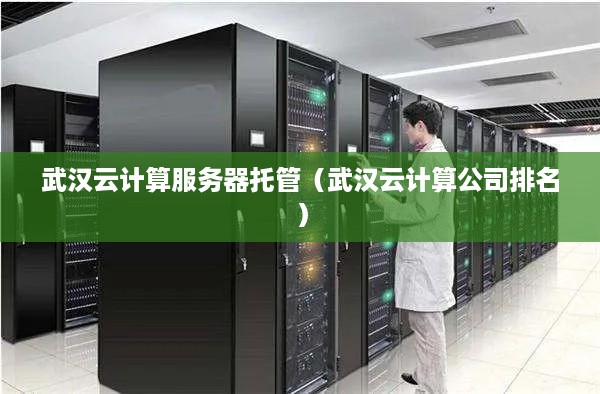 武汉云计算服务器托管（武汉云计算公司排名）