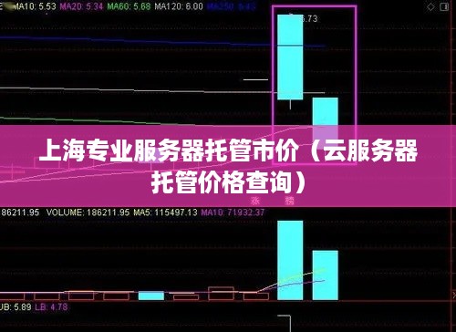 上海专业服务器托管市价（云服务器托管价格查询）
