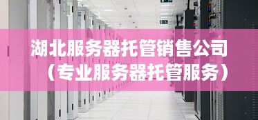 湖北服务器托管销售公司（专业服务器托管服务）