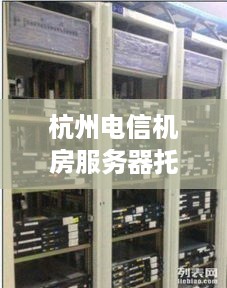 杭州电信机房服务器托管价格（服务器托管费用解析）