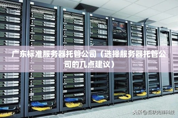广东标准服务器托管公司（选择服务器托管公司的几点建议）