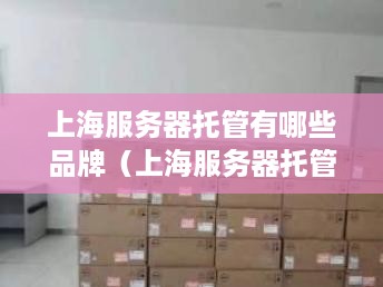 上海服务器托管有哪些品牌（上海服务器托管服务推荐）